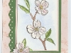 soft summer-kathi roberts.jpg